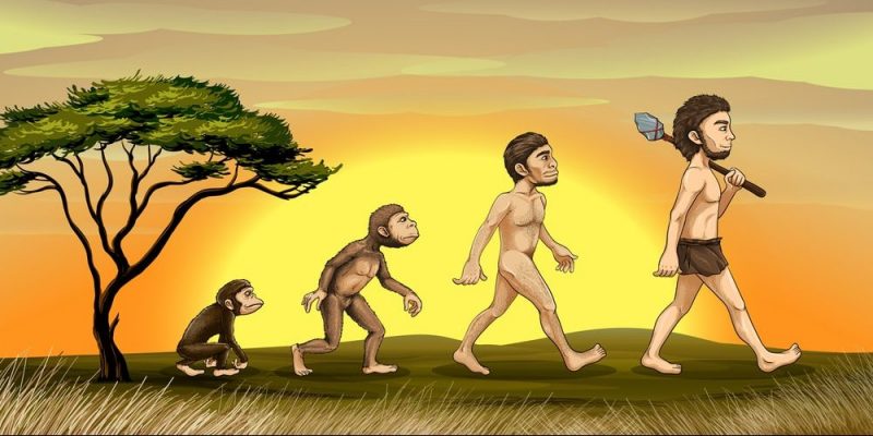 evolucion del hombre 1 e1535467383483
